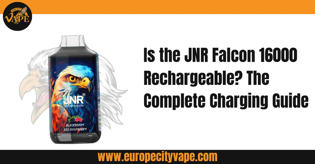 Le JNR Falcon 16000 est-il rechargeable ? Le guide complet de la charg Le JNR Falcon 16000 est-il rechargeable ? Le guide complet de la charg