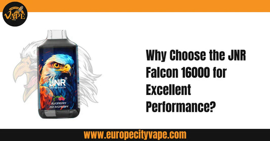 Why Choose the JNR Falcon 16000 for Excellent Performance?