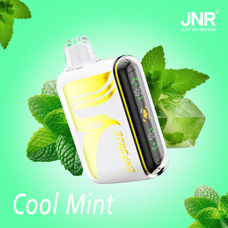 JNR Digital Box 15000 Puffs Jetable Vapes