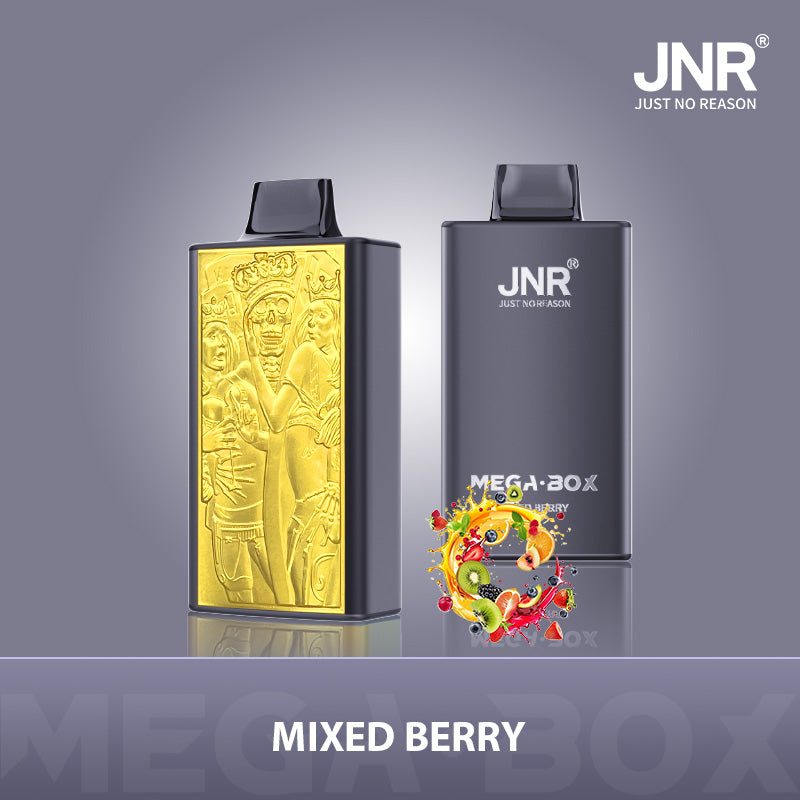 JNR Mega Box 25000 Puffs Vape Jetable