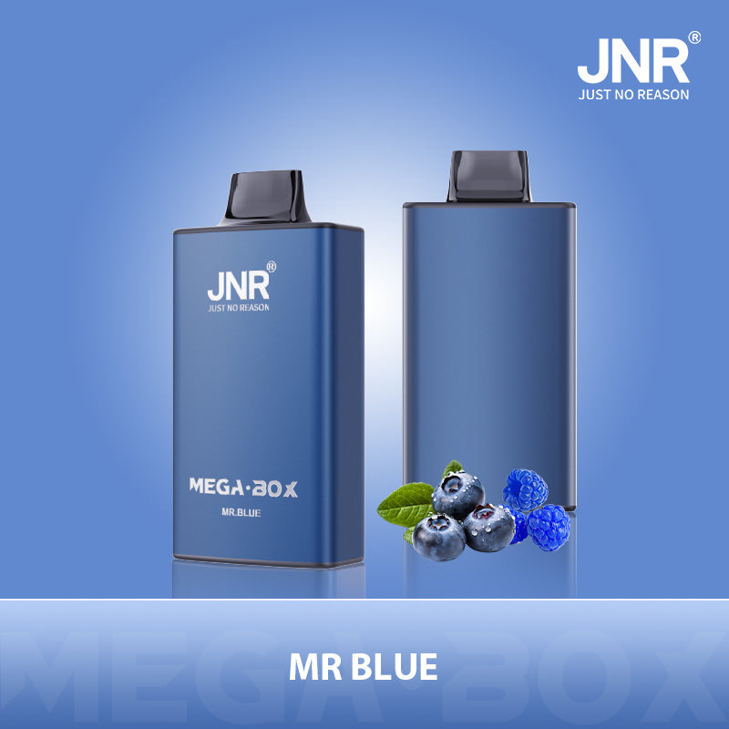 JNR Mega Box 25000 Puffs Vape Jetable