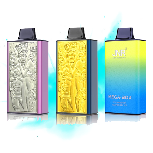 JNR Mega Box 25000 bouffées Vape Jetable (Boîte de 10)