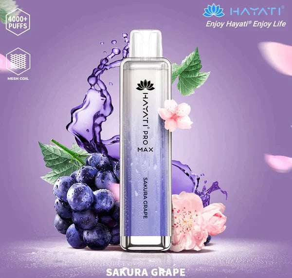 Hayati Pro Max 4000 Puffs Vape Jetable